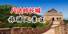 插逼网站爽中国北京-八达岭长城旅游风景区